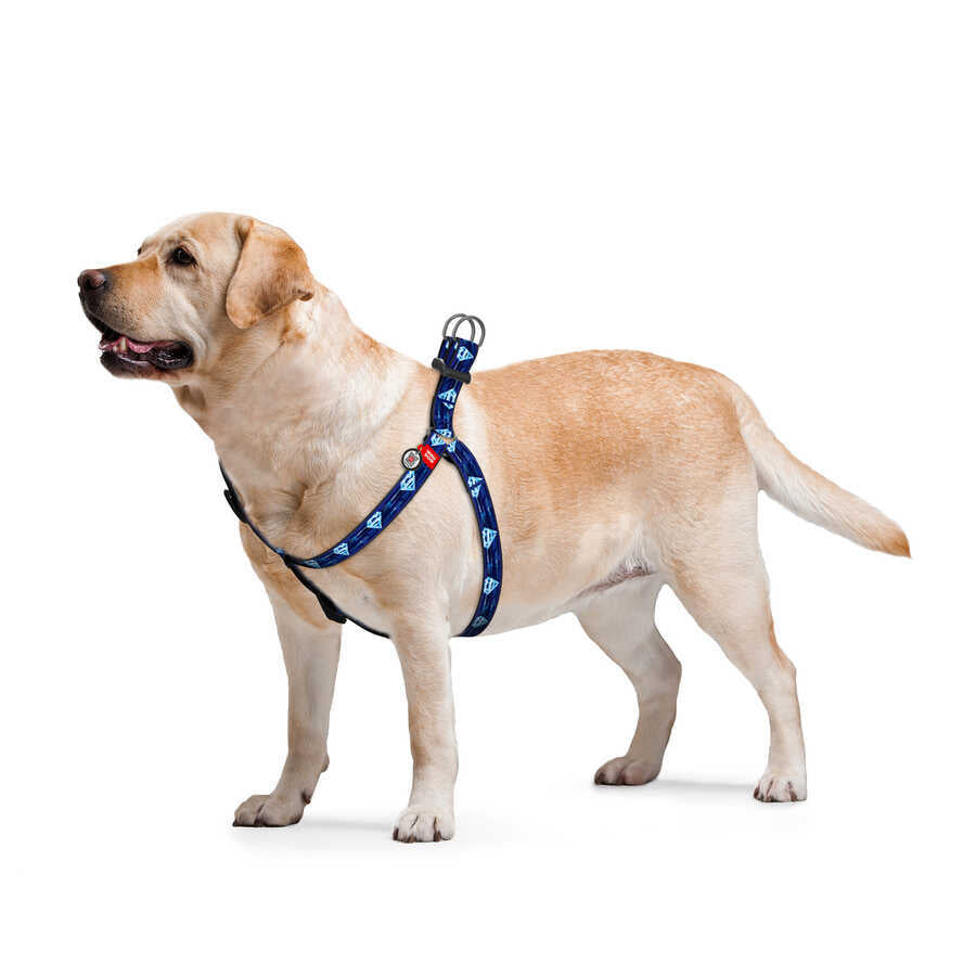 0720-2013 Waudog Nylon Dog Harness With Qr Passport, "superman 1" Design, Plastic Fastex, W 20 Mm, L 50-80 Cm