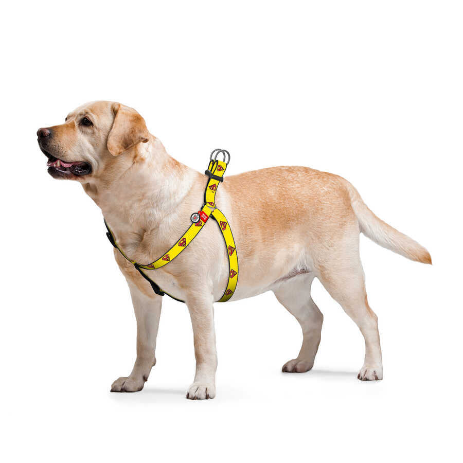 0725-2014 Waudog Nylon Dog Harness With Qr Passport, "superman 2" Design, Plastic Fastex, W 25 Mm, L 60-90 Cm