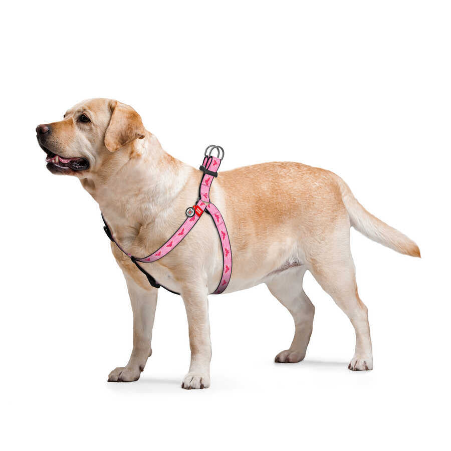 0720-2015 Waudog Nylon Dog Harness With Qr Passport, "wonder Wooman 1" Design, Plastic Fastex, W 20 Mm, L 50-80 Cm
