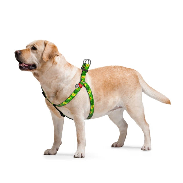 5036-waudog Nylon Dog Harness With Qr Passport, "avocado" Design, W 25 Mm, L 60-90 Cm