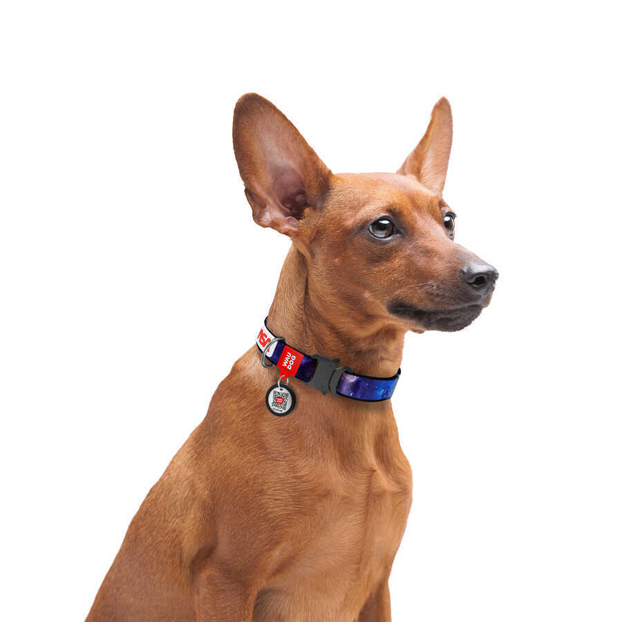 4508-0148 Waudog Nylon Dog Collar With Qr-passport, "nasa21" Design, Metal Fastex, L,w 25 Mm, L 35-58 Cm