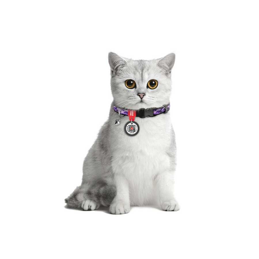 5275-collar Qr Pasaportlu Kedi Boyun Tasması 20-30 Cm 10 Mm