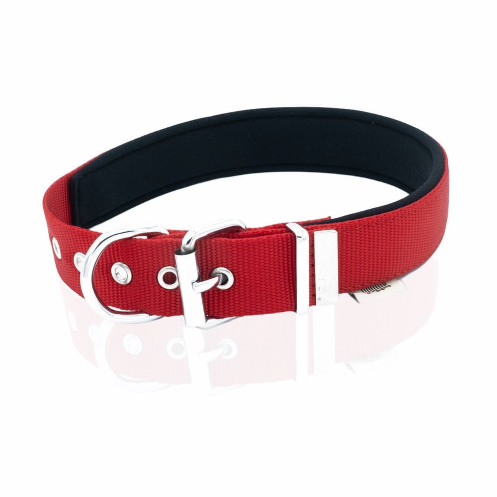 Doggie Kemik Süslü Dokuma Köpek Tasması 2.5x42-50cm (kırmızı)
