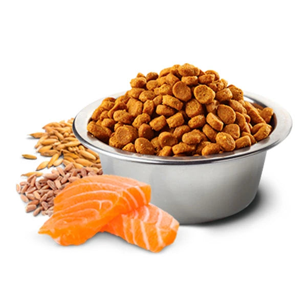 Nd Tropical Orta-büyük Irk Somonlu Yetişkin Köpek Maması 2 Kg