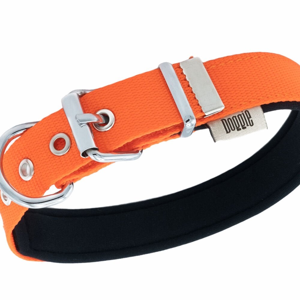 Doggie Konfor Dokuma Köpek Boyuntasması 1,5x20-25 Cm Turuncu