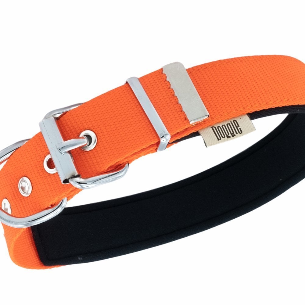 Doggie Kemik Süslü Dokuma Köpek Tasması 3x47-55cm (turuncu)