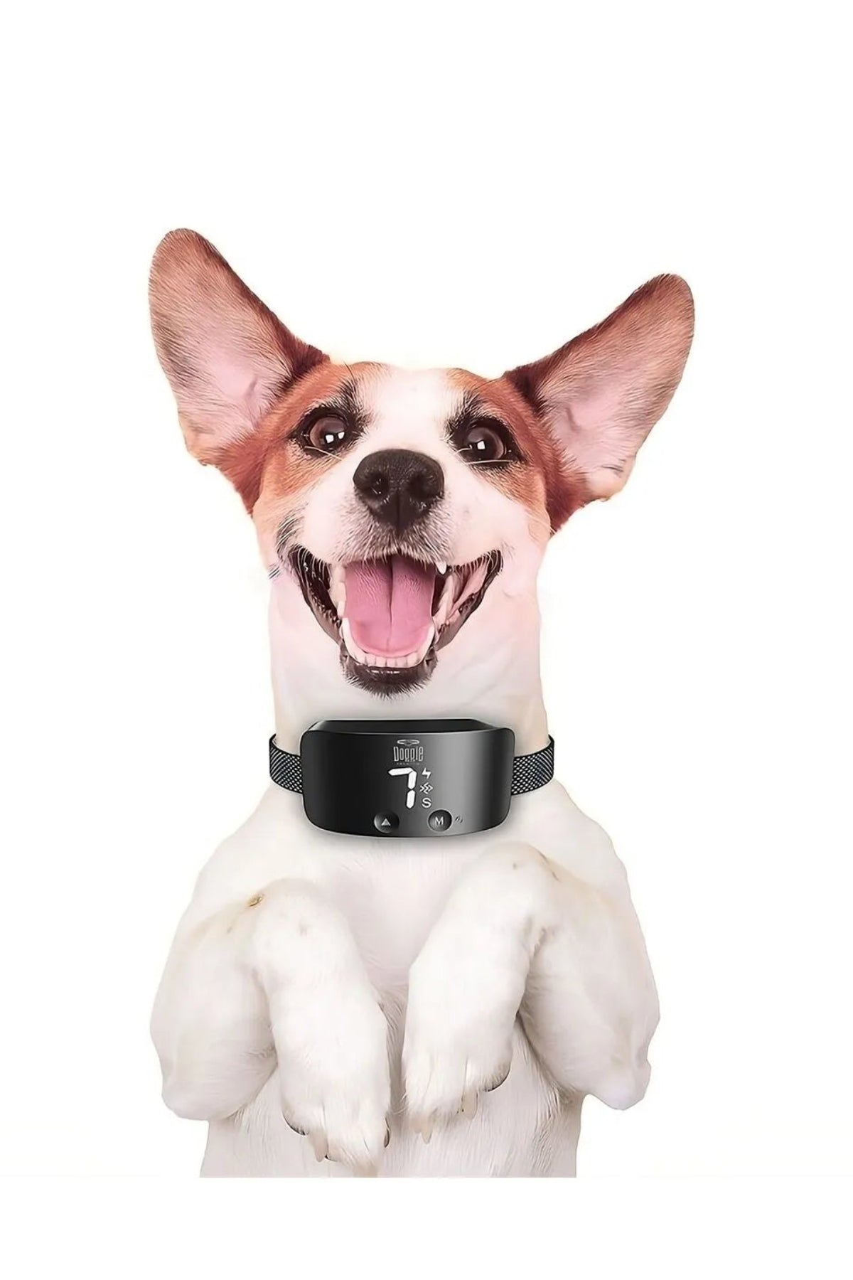 Doggie Havlama Önleyici Eğitim Tasması Black