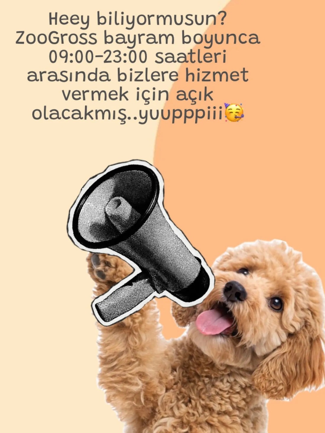 zoogross