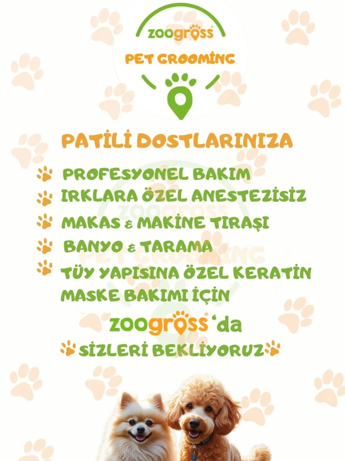 zoogross