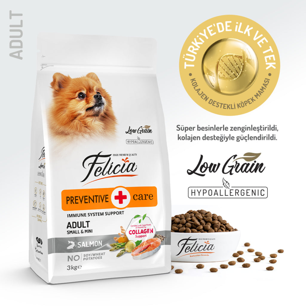 Felicia Yetişkin Somonlu Köpek Maması Small Mini 3 Kg