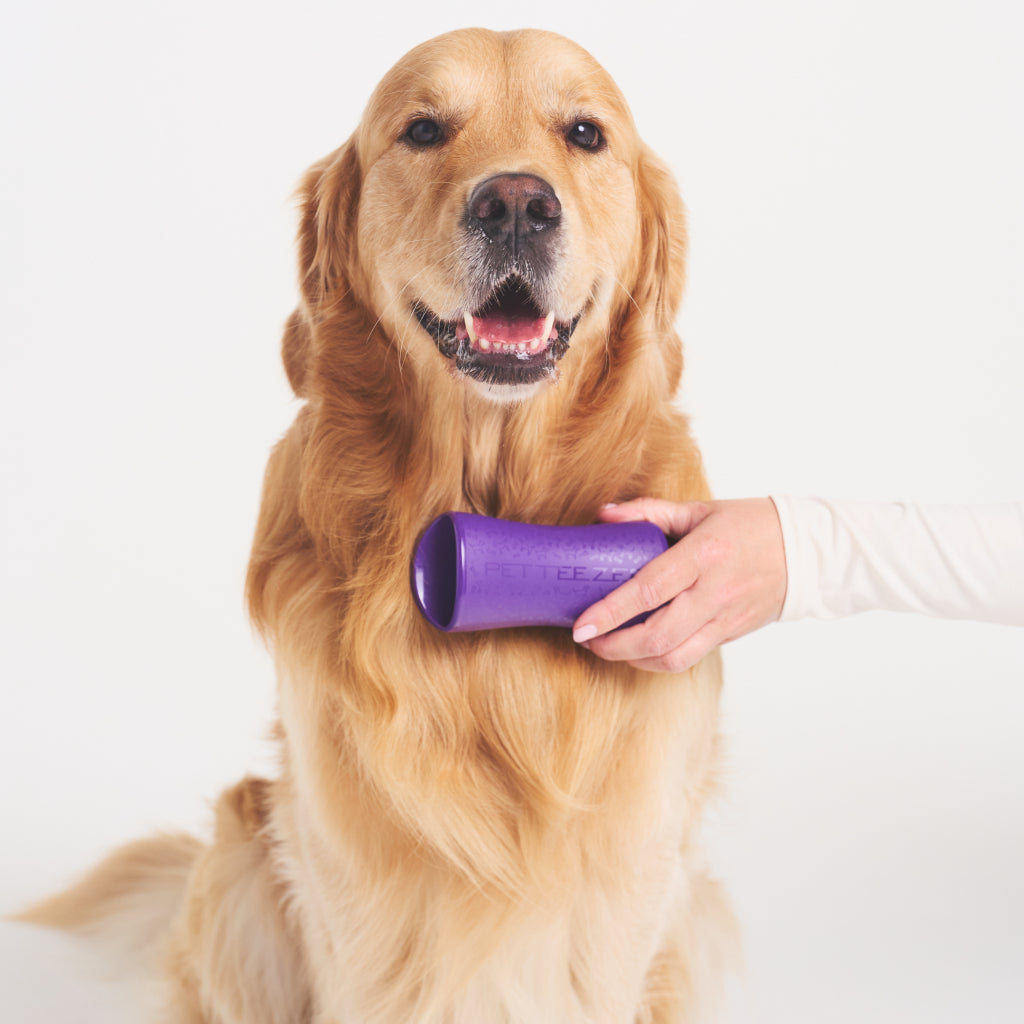 Pt Tüy/kir Toplayıcı Köpek Tarak-mor/gri