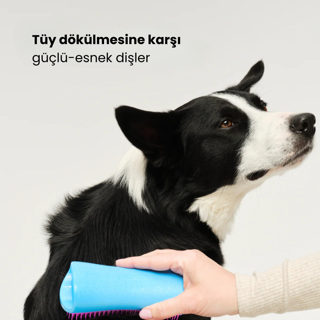 Pt Tüy/kir Toplayıcı Köpek Tarak-pembe/mavi