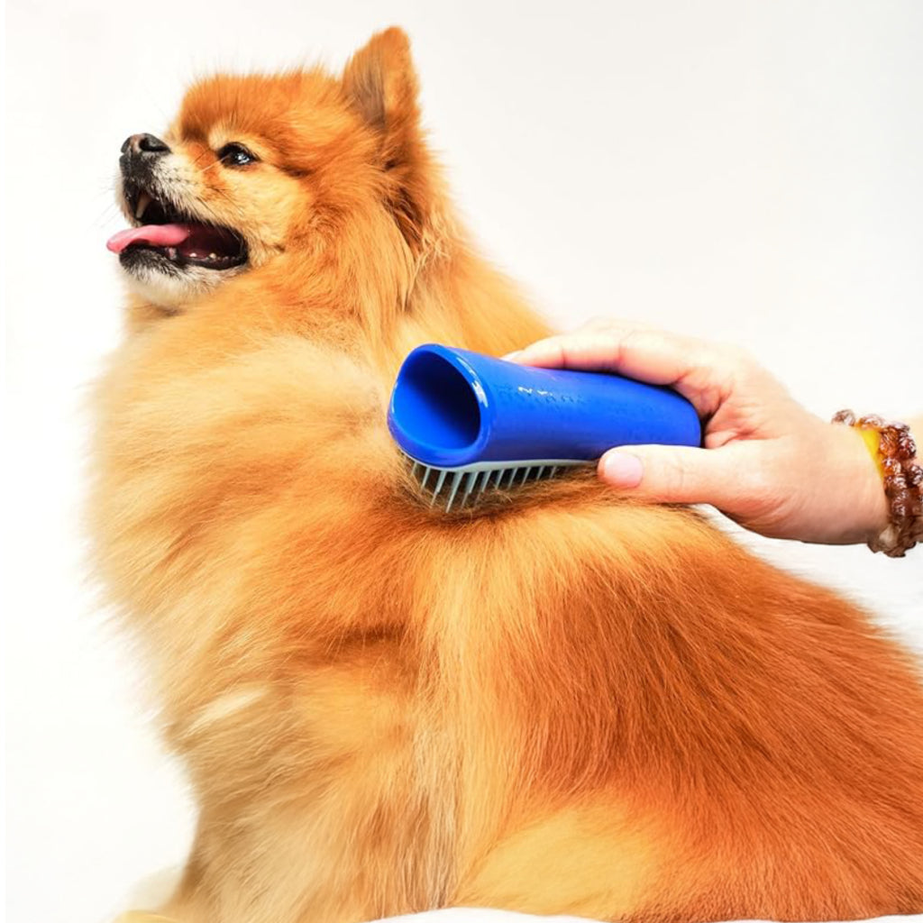 Pt Tüy/kir Toplayıcı Köpek Tarak Küçük Irk-mavi