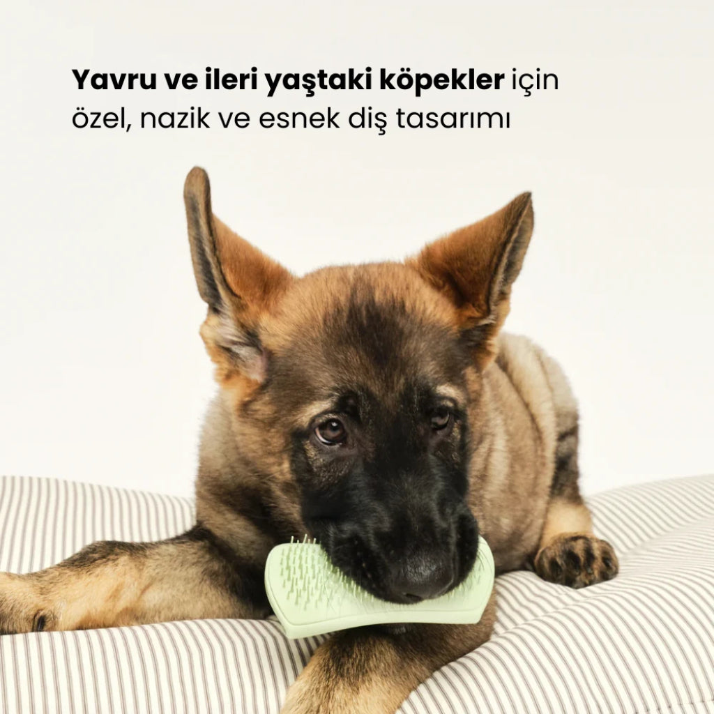 Pt Yumuşak Esnek Tarak Yavru Köpek-yeşil