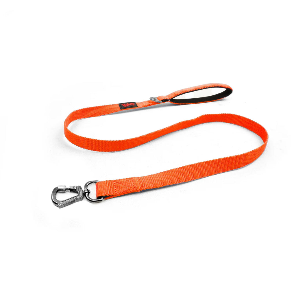 Neo Orange Match Leash Medıum
