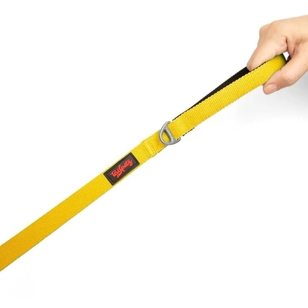 Yellow Match Leash Medıum