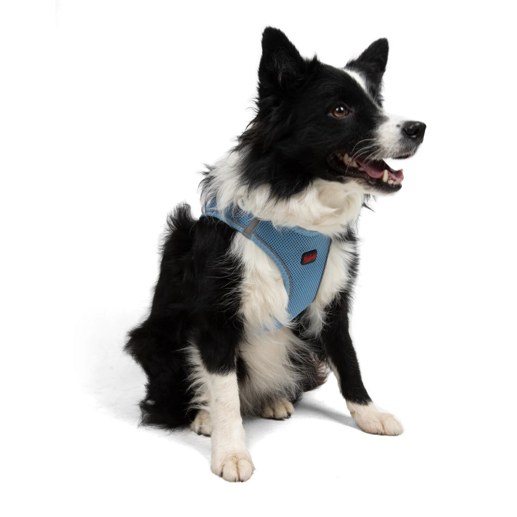 Aır-mesh Harness Blue M