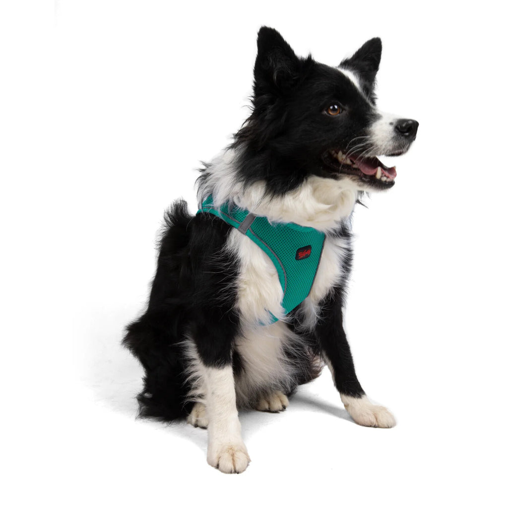 Aır-mesh Harness Emerald Xl