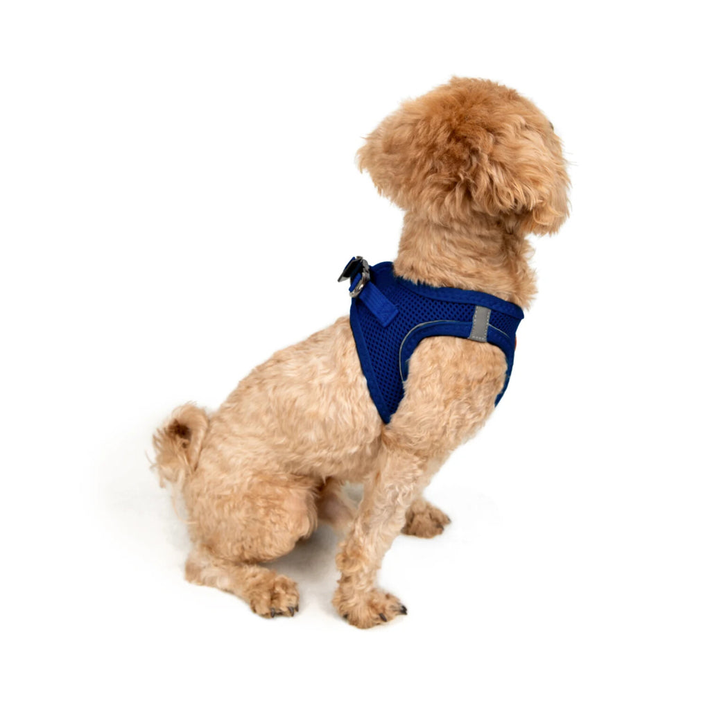 Aır-mesh Harness Sax M