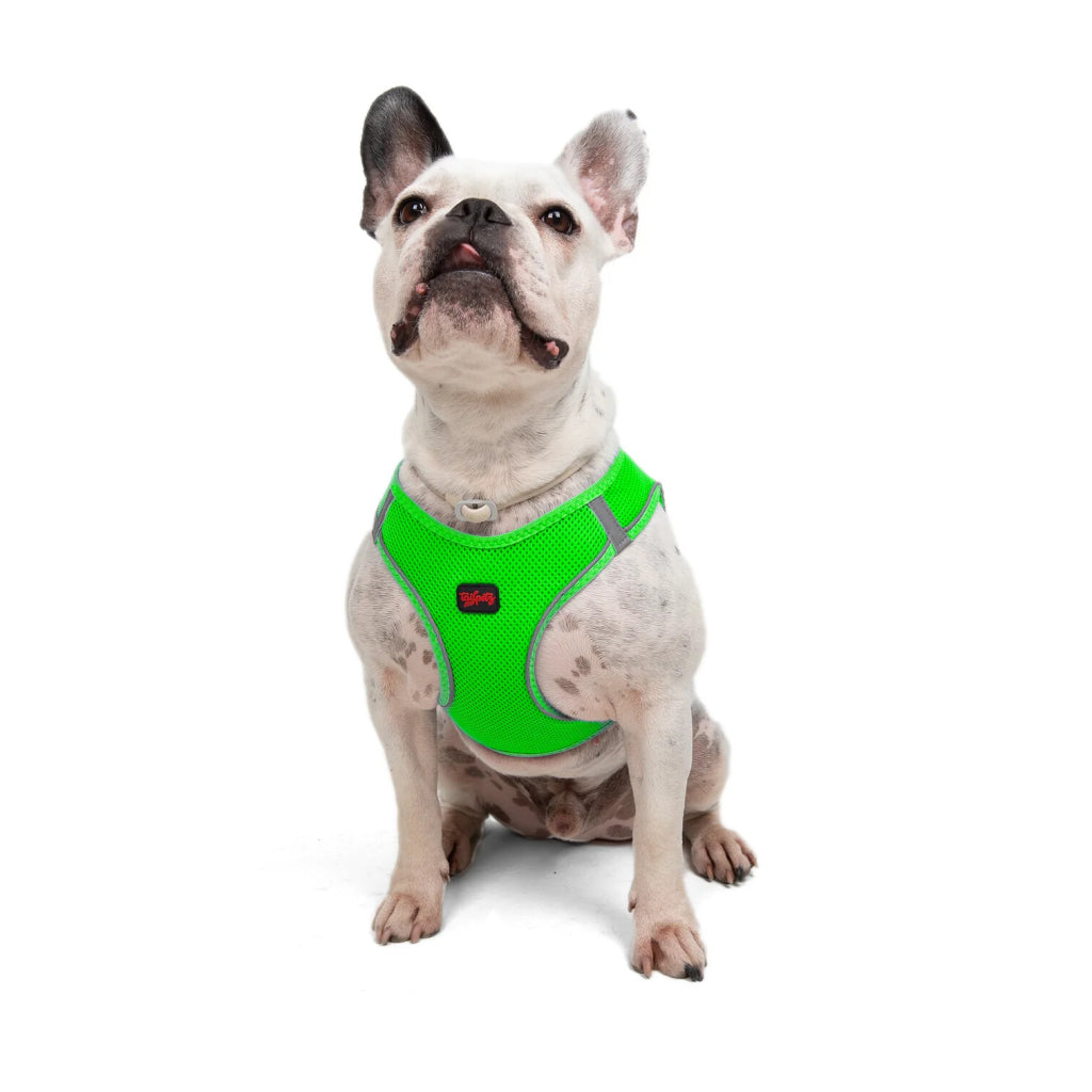 Aır-mesh Harness Neo Green L