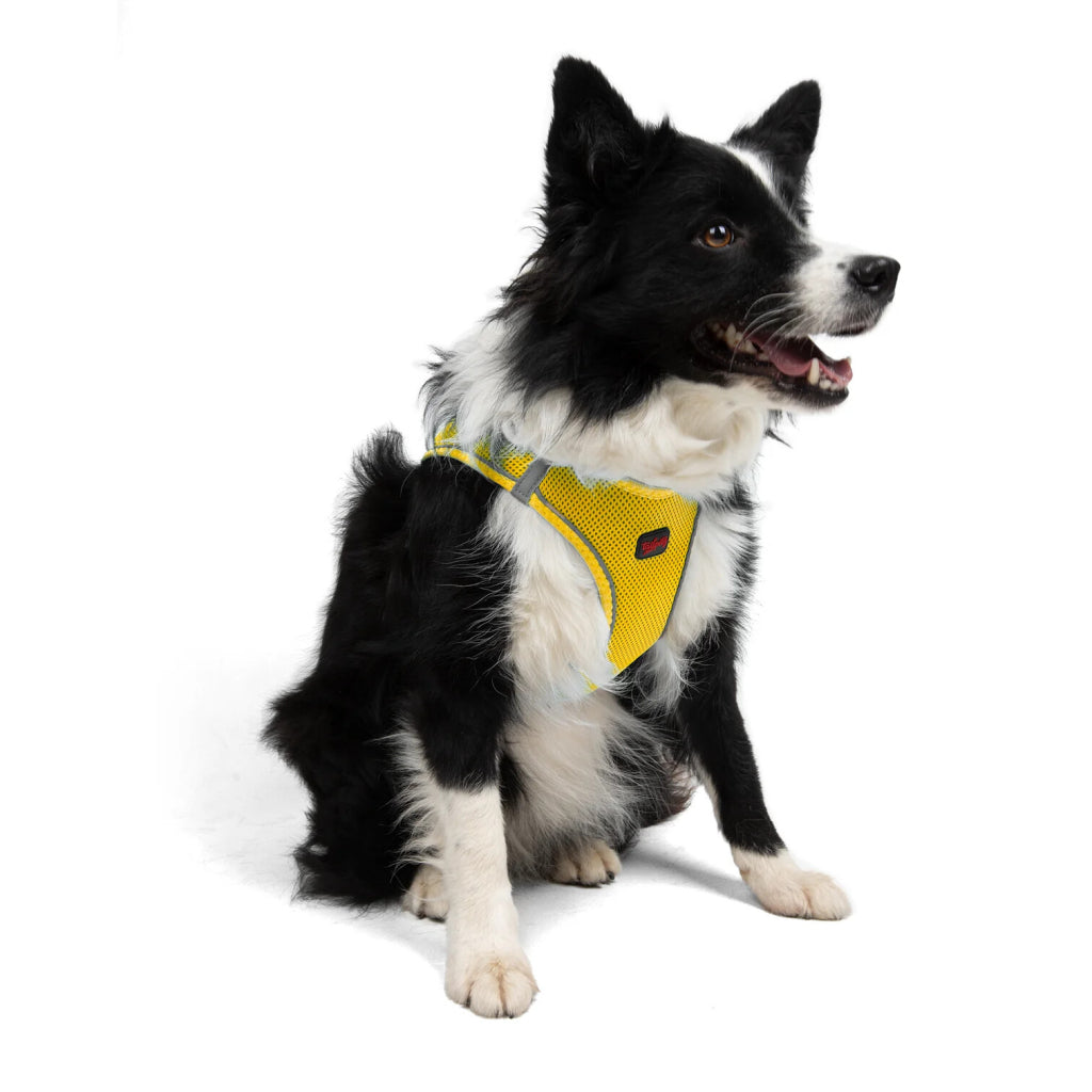 Aır-mesh Harness Yellow Xl