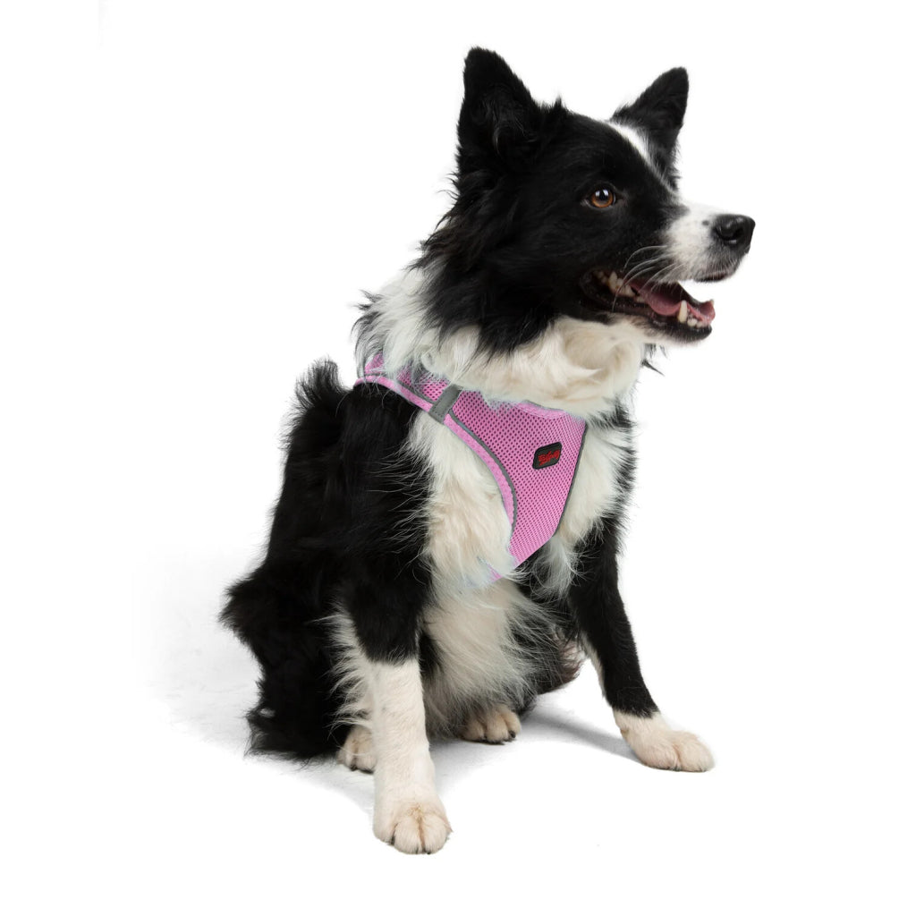 Aır-mesh Harness Lılac M