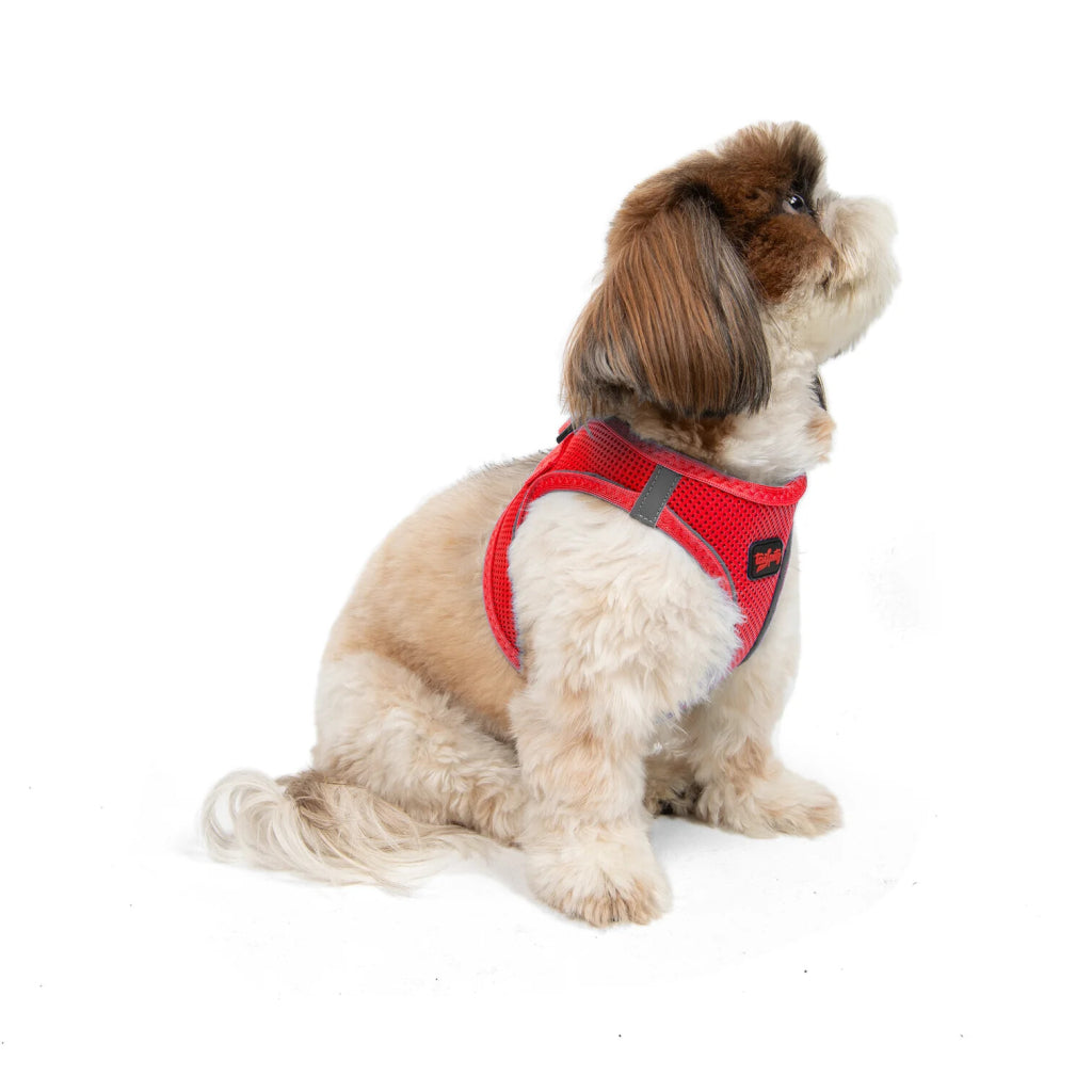 Aır-mesh Harness Garnet S