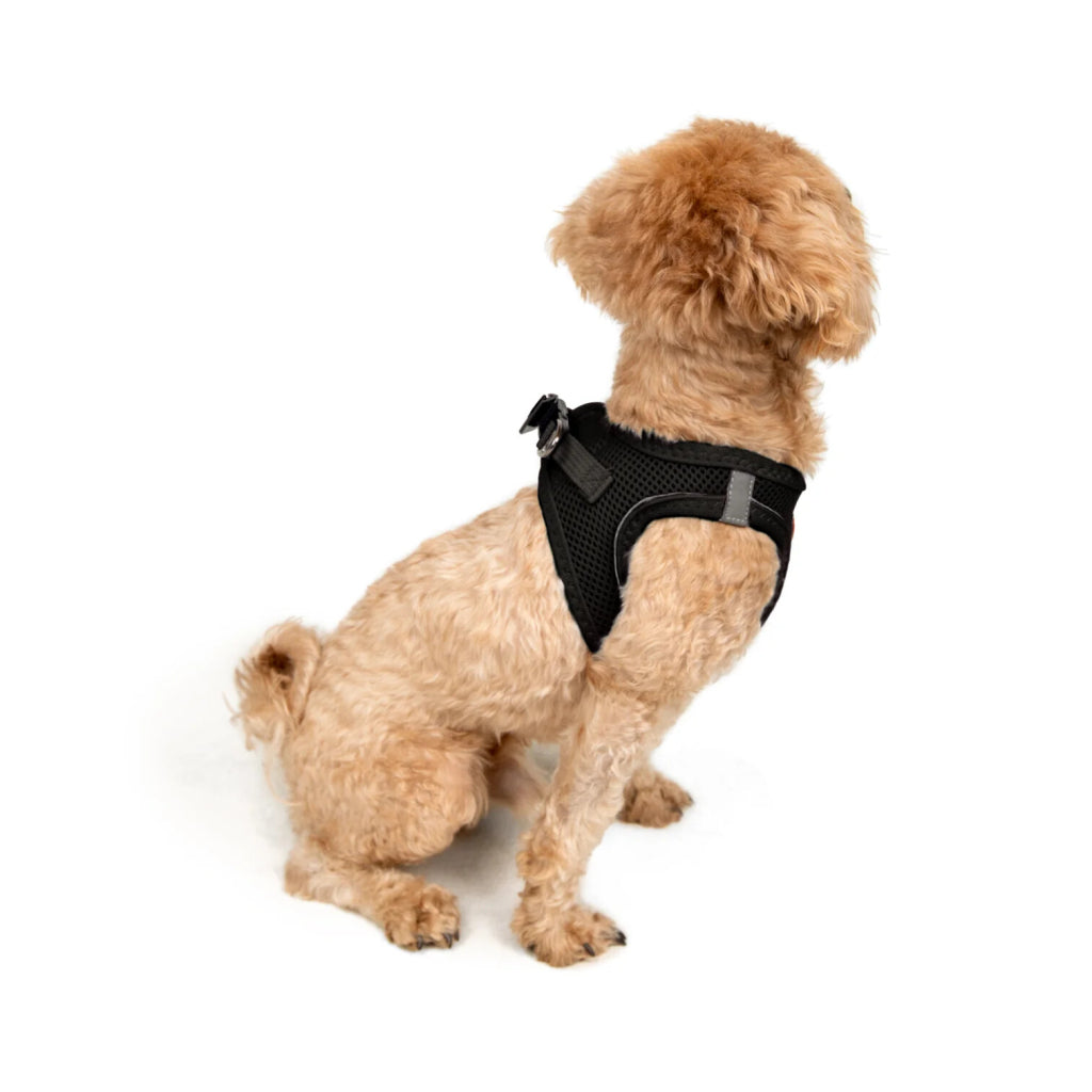 Aır-mesh Harness Black 2xs