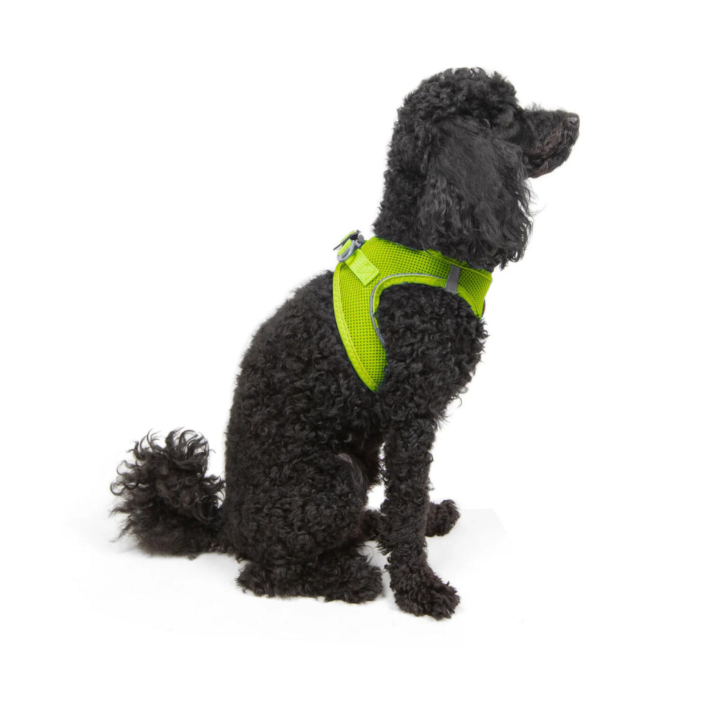 Aır-mesh Harness Lıme Xs