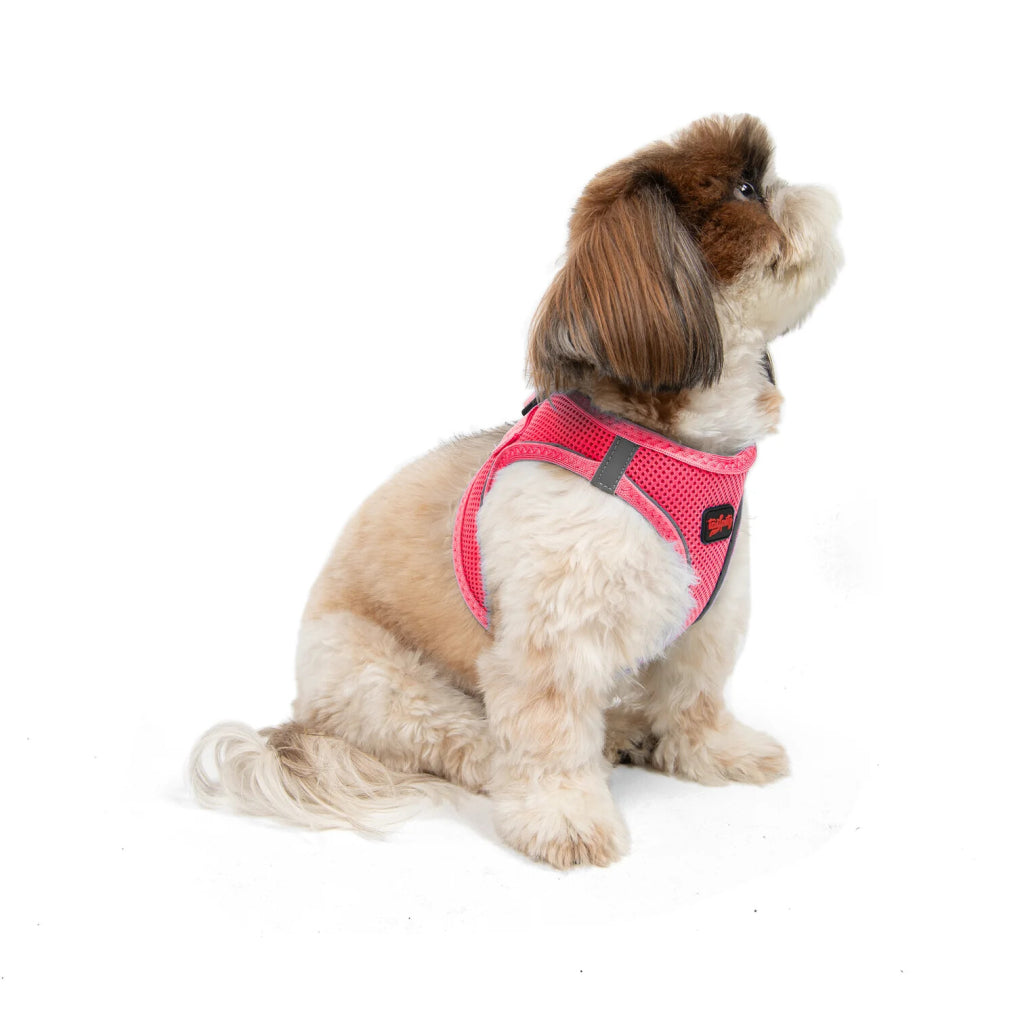 Aır-mesh Harness Neo-pınk S