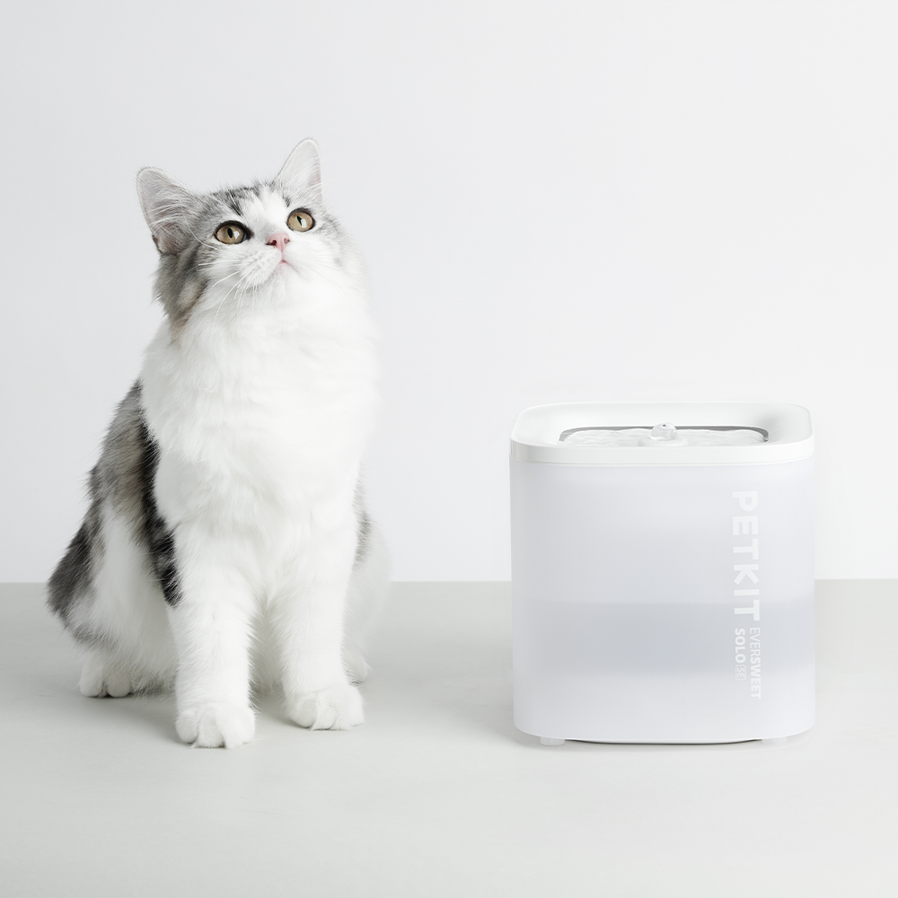 Petkit Eversweet Solo Se White
