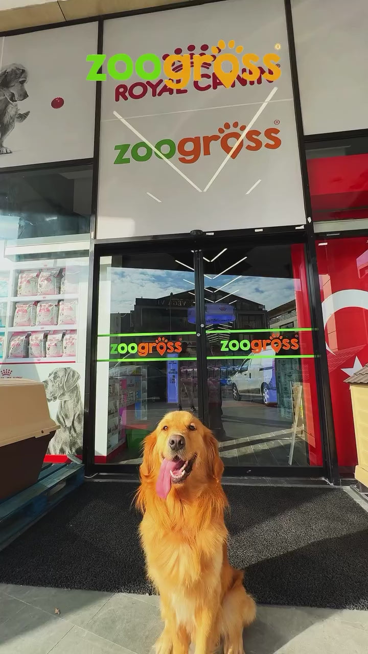 zoogross