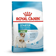 Royal Canin Mini Starter Köpek Maması 1 Kg