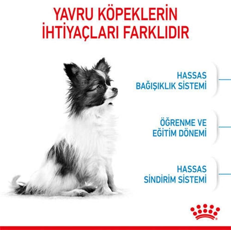 Royal Canin Xsmall Puppy Yavru Köpek Maması 500 Gr