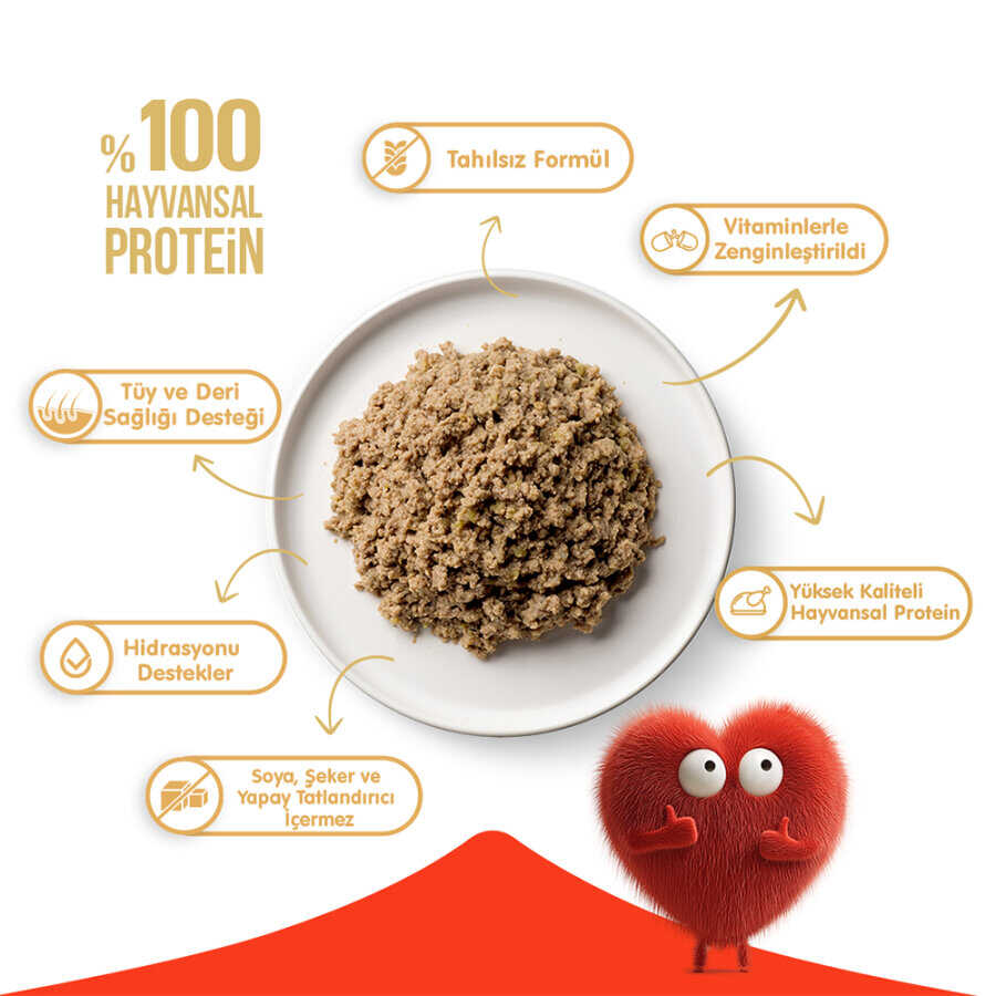 Wanpy Tahılsız Kedi %100 Gerçek Et 375 Gr Ton Balıklı Konserve