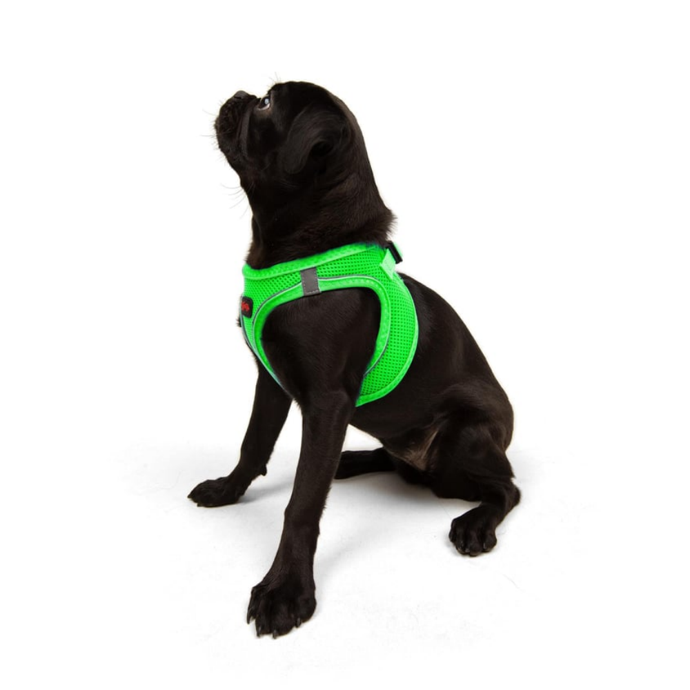 Aır-mesh Harness Neo Green M