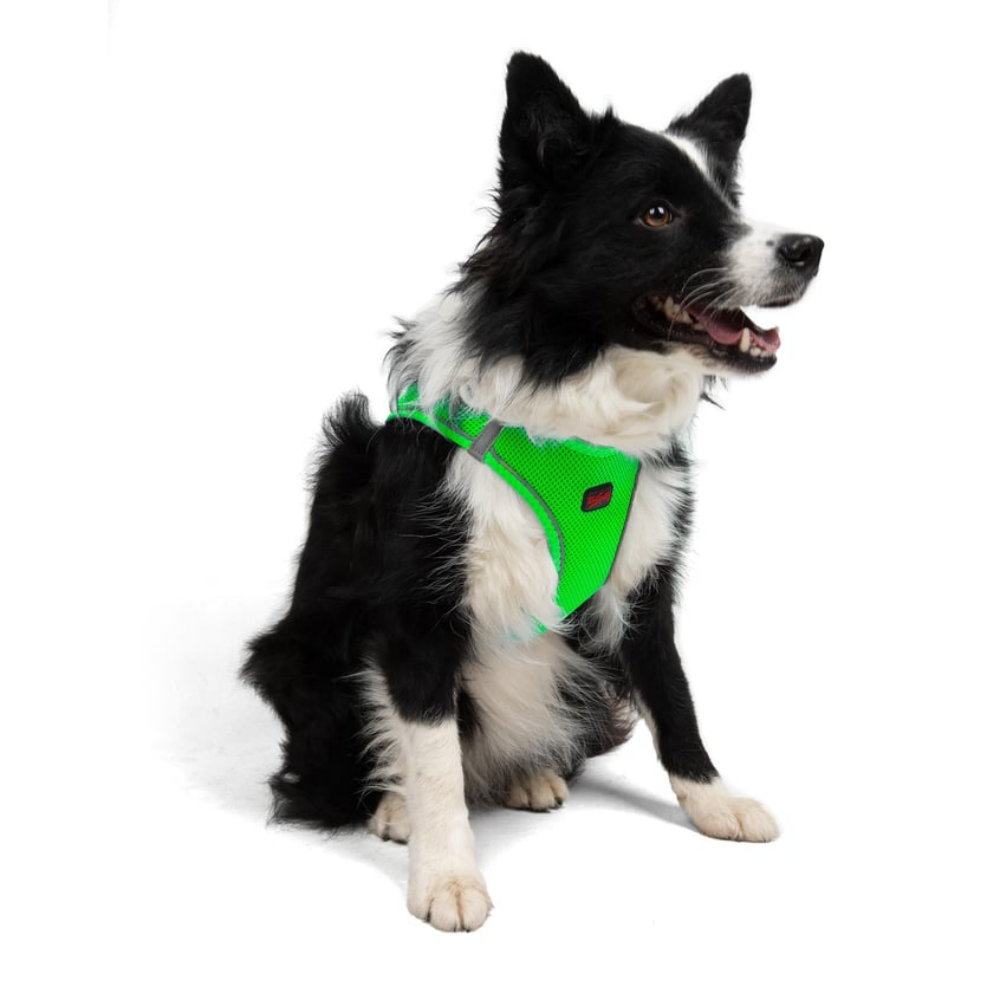 Aır-mesh Harness Neo Green 2xs